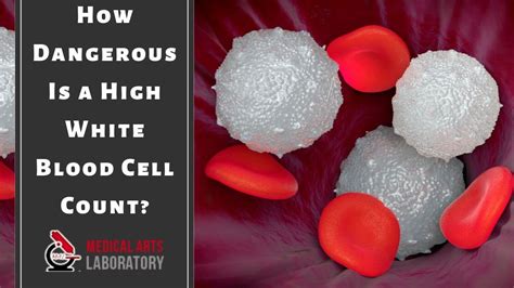 prednisone high white blood cell count